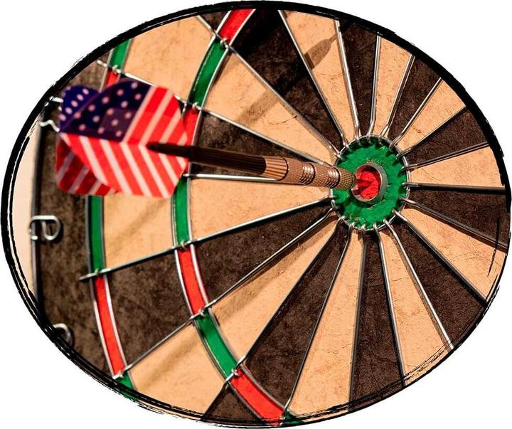 Actual product image Carromco Bristle Dartboard Superplay