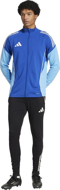 Actual product image adidas Tiro 25 Competition training jacket (XL)