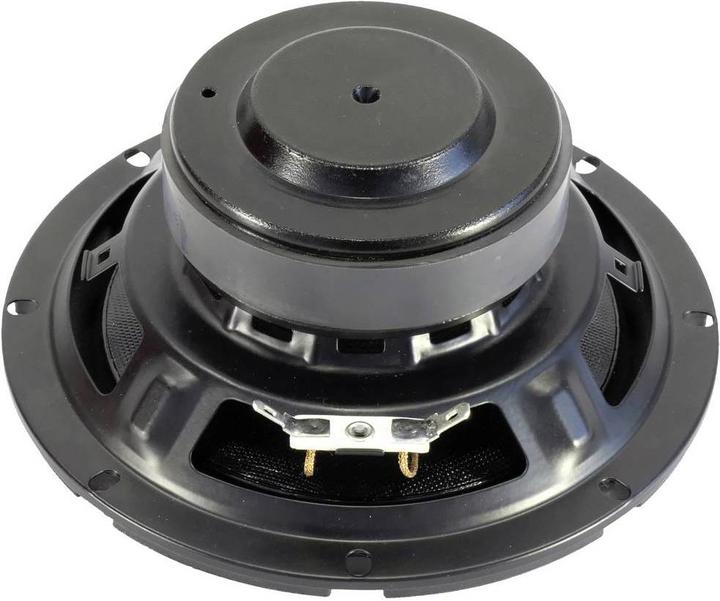 Actual product image Visaton W 165 A woofer - 2 Ohm