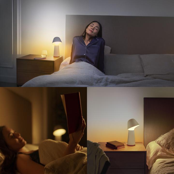 Actual product image Philips Hue White & Color Ambiance Twilight (1380 lm)