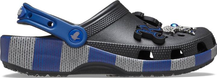 Actual product image Crocs HarryPotter Ravenclaw Clog (39)
