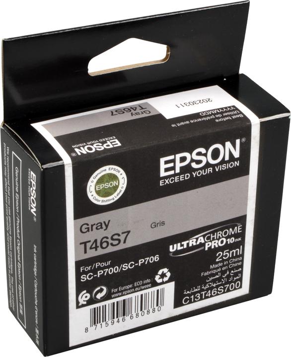 Image du produit Epson T46S700 (GY)