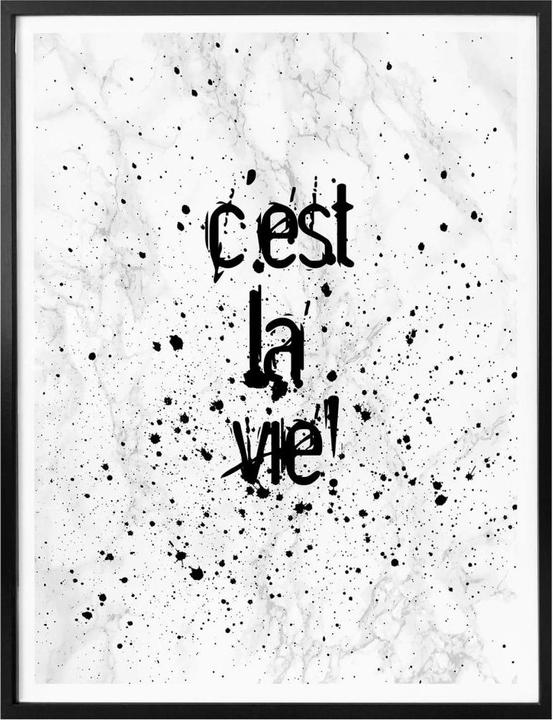 Immagine prodotto Trenddeko C'est la vie (50 x 60 cm)