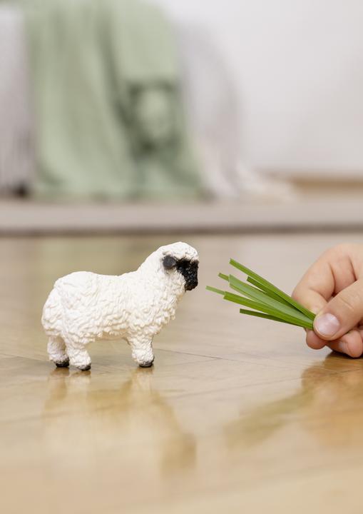 Immagine prodotto Schleich Pecora dal naso nero del Vallese