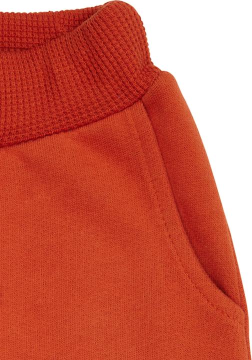 Image du produit loud + proud Pantalon sweat Terracotta (86)