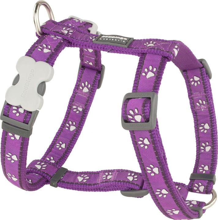 Immagine prodotto Red Dingo Imbracatura Desert Paws Purple M (M, Cane, Generale)