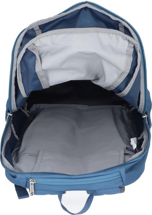 Actual product image Deuter Gogo (28 l)