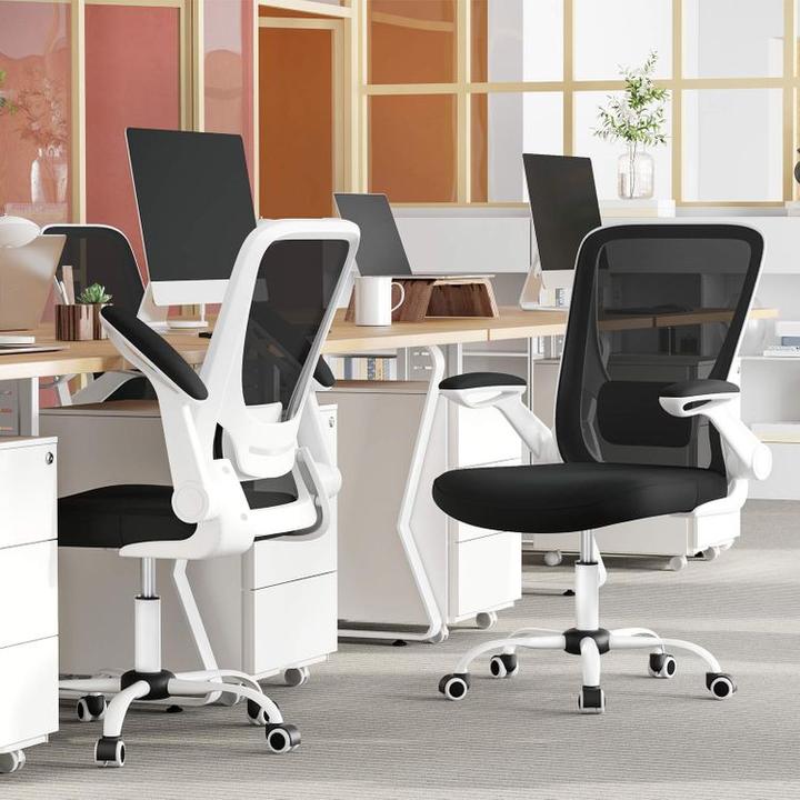 Actual product image Songmics Ergo