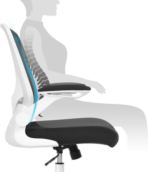 Actual product image Songmics Ergo