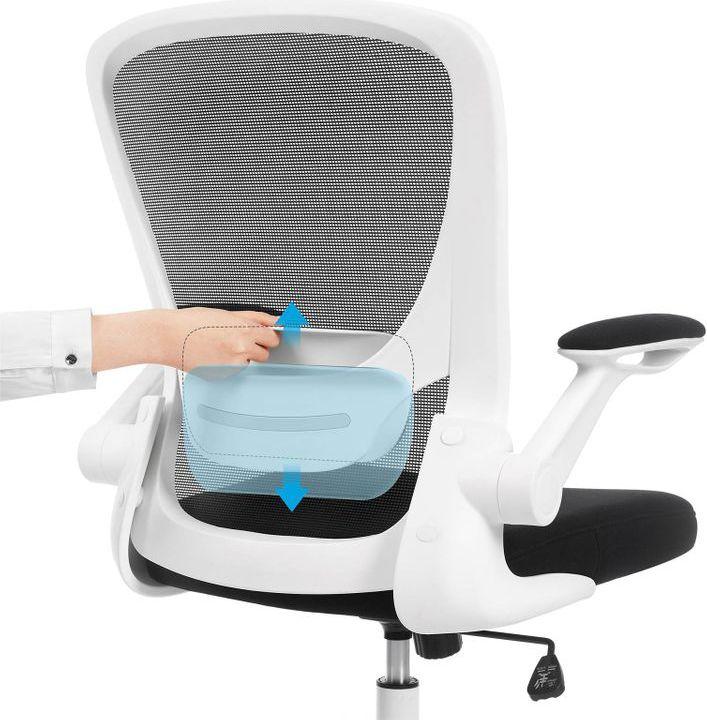 Actual product image Songmics Ergo