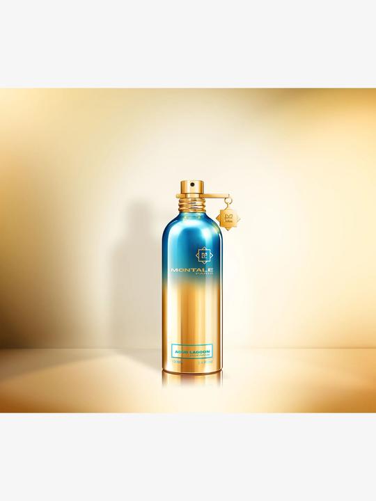 Produktbild Montale Aoud Lagoon (Eau de Parfum, 100 ml)