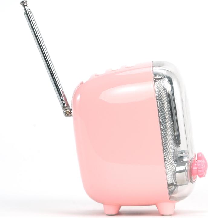 Produktbild Divoom Tiivoo-2 pink