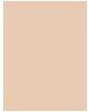 Image du produit Dermacol Couverture Xtreme (0 (208))
