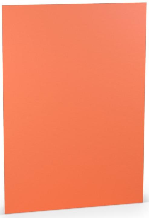 Actual product image Paperado Cardboard A4 220g/sqm PU=5 sheets Coral (220 g/m², 5 x)