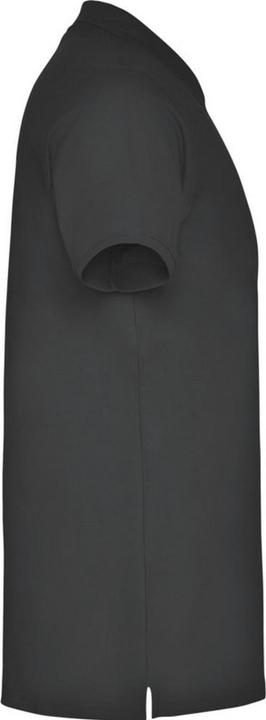 Image du produit Alpinia - Polo STAR - Homme (L)