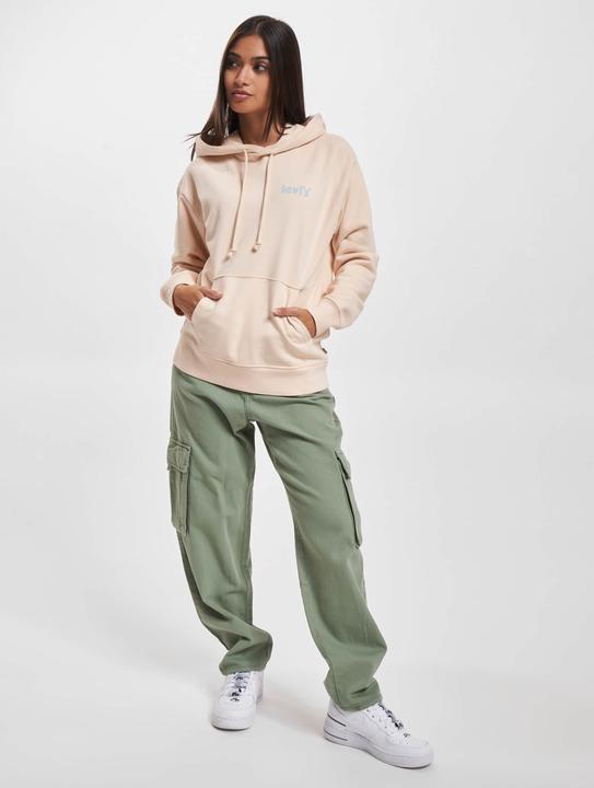 Actual product image Levis Graphic Standard Hoodie - 91027 (XS)