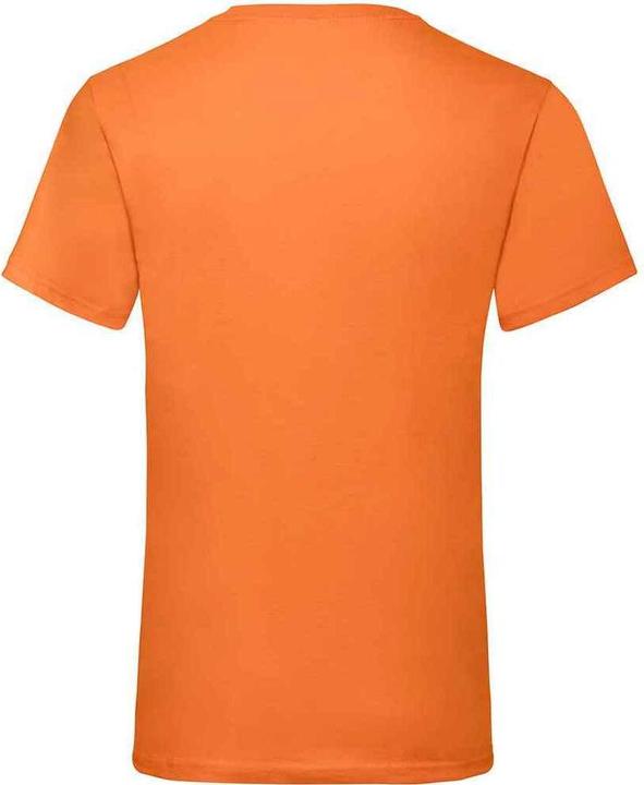 Actual product image Fruit of the Loom Mens Valueweight V Neck T-Shirt (XL)