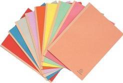 Actual product image Exacompta Collection folders - File covers (A4, 25 x)