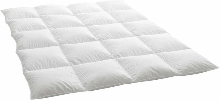 Immagine prodotto Dauny Media Plus Coperta in piuma d'oca (200 x 210 cm)