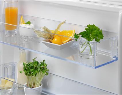 Actual product image Electrolux 500 Series KTS5LE16S Double Door Refrigerator from (249 l)