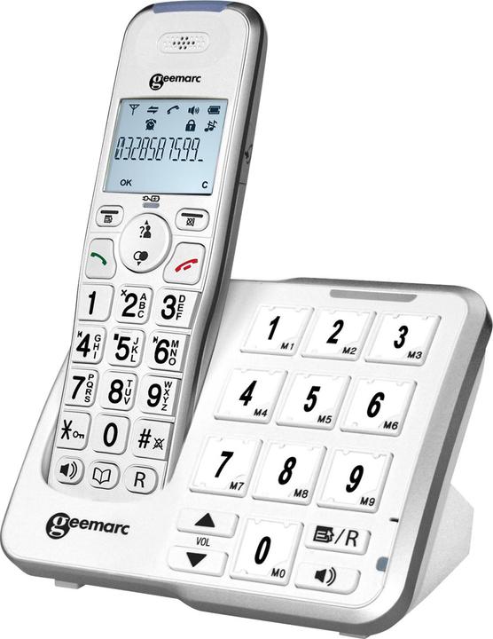 Actual product image Geemarc Amplidect 295 Photo