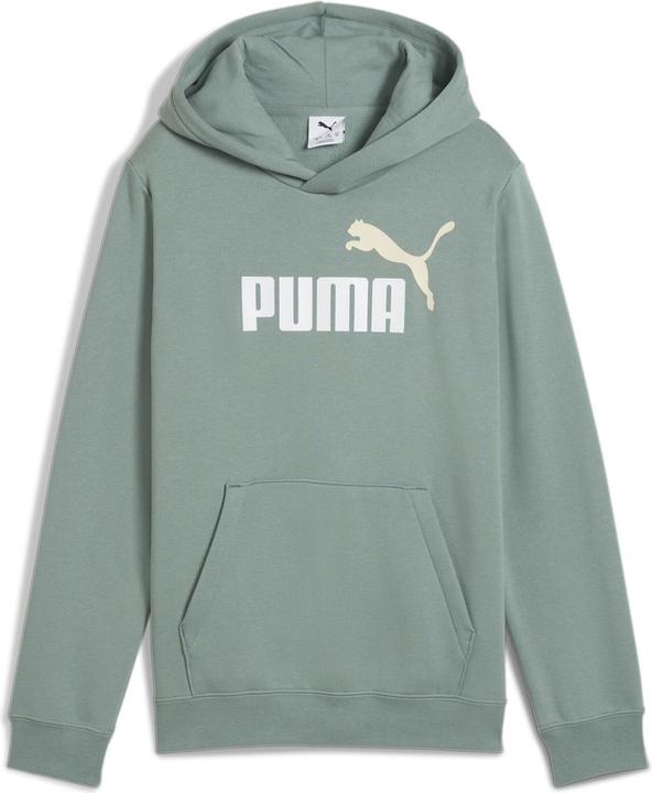 Puma ESS 2 COLOR No. 1 Logo Hoodie FL B