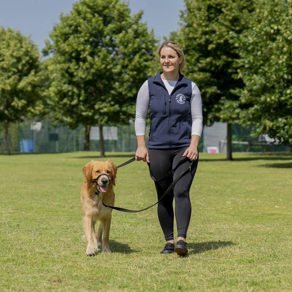 Produktbild Company of Animals Halti Black Kopfgeschirr 4 (Hund, Hundesport)