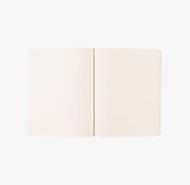 Actual product image Moleskine Notebook classic (19 x 25 cm, Lined, Soft cover)