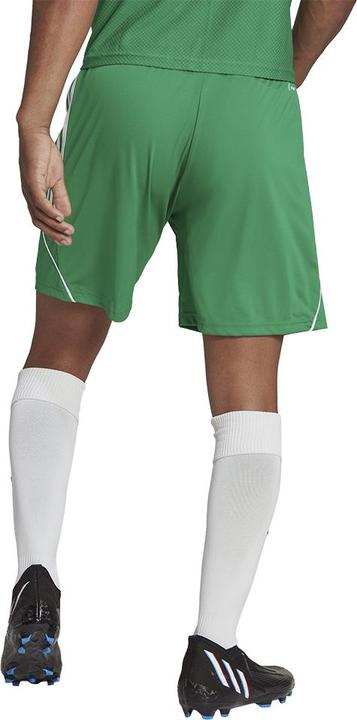 Actual product image adidas Tiro 23 training shorts men (S)