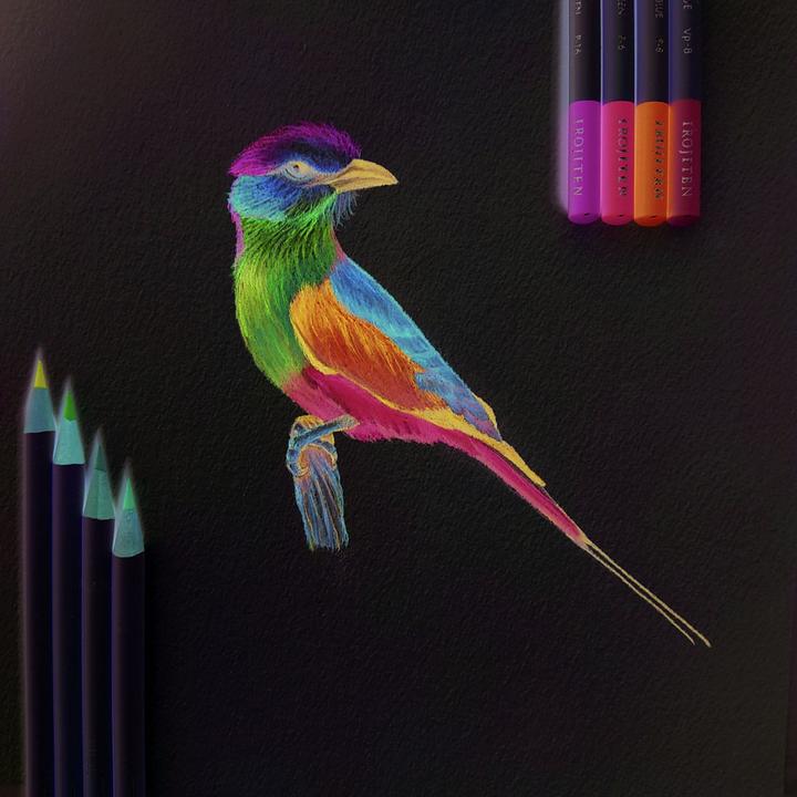 Actual product image Tombow Artist's colour pencil Irojiten (Multicoloured, 10 x)