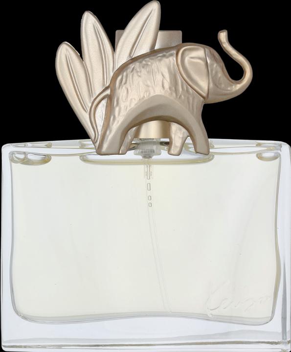 Actual product image Kenzo Jungle Edp Spray (Eau de parfum, 30 ml)