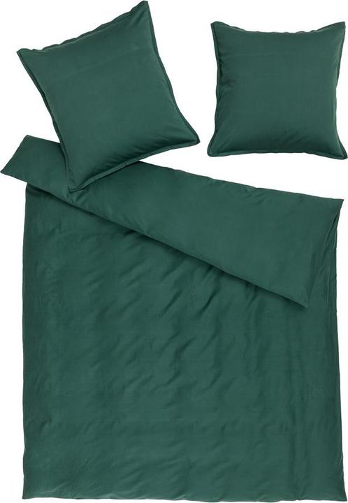 Verde foresta