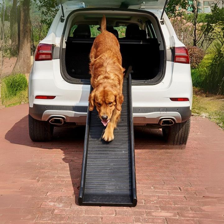 Produktbild Hermex Hunderampe Klapp-Rampe Einstieghilfe Aufstiegshilfe Tiertransport (Hund, Faltbar)