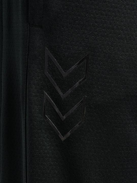 Image du produit hummel Hmlactive Pl Training Pants (L)