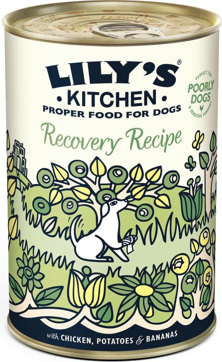 Produktbild Lily's Kitchen Recovery Recipe (Adult, 1 Stk., 400 g)