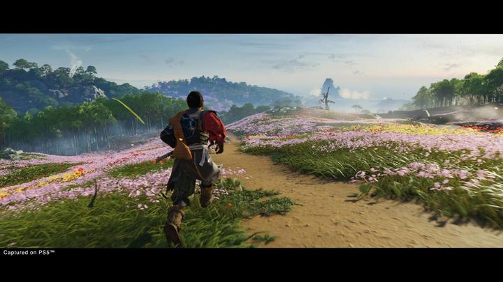 Actual product image Sony Ghost of Tsushima Director's Cut (PS5, Multilingual)
