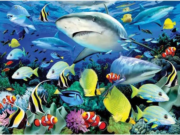 Magni Painting by numbers - Junior "Sea life"