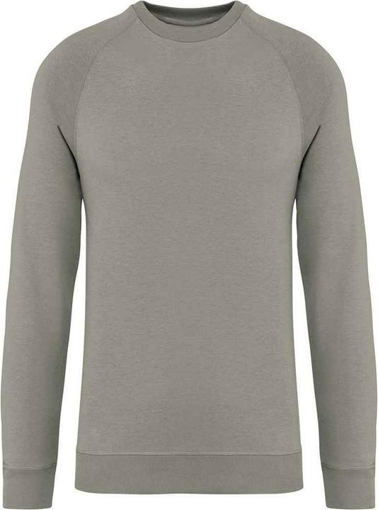 Native Spirit Sweatshirt Raglanärmel