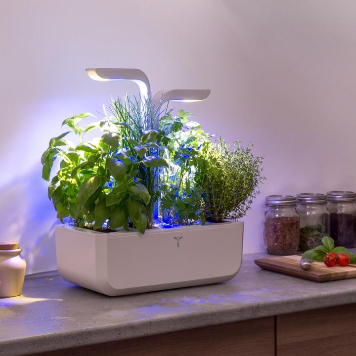 Produktbild Véritable Classic (18.50 cm)