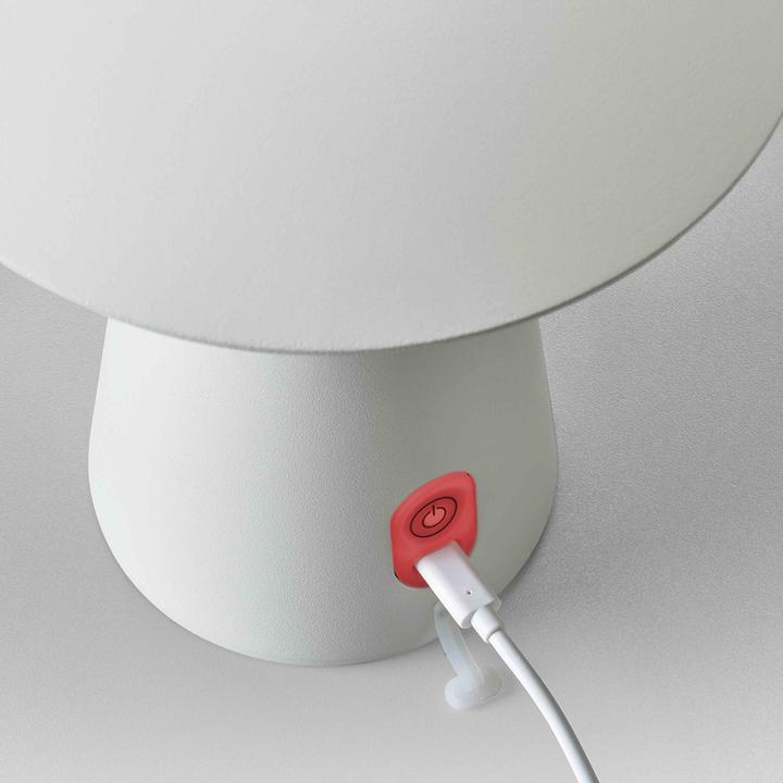 Actual product image Licht-Trend Homie (263 lm)