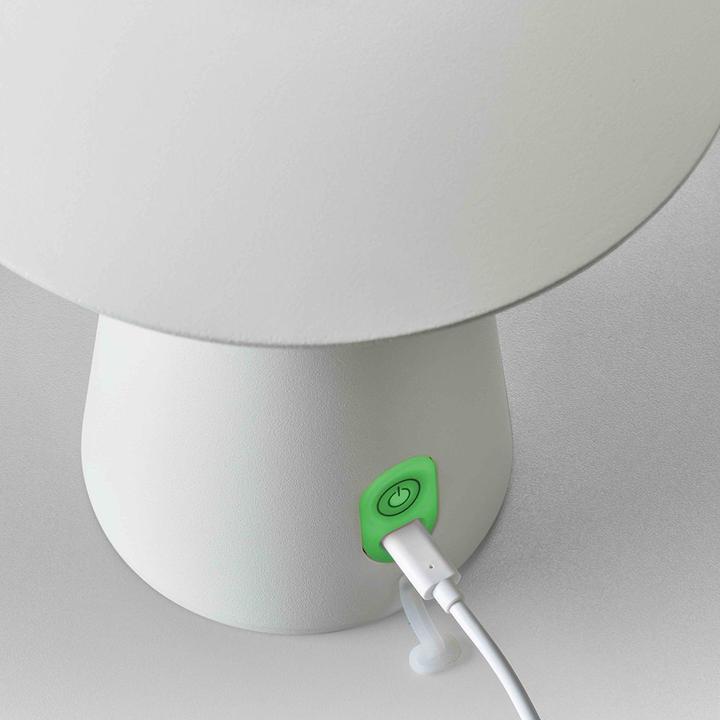 Actual product image Licht-Trend Homie (263 lm)
