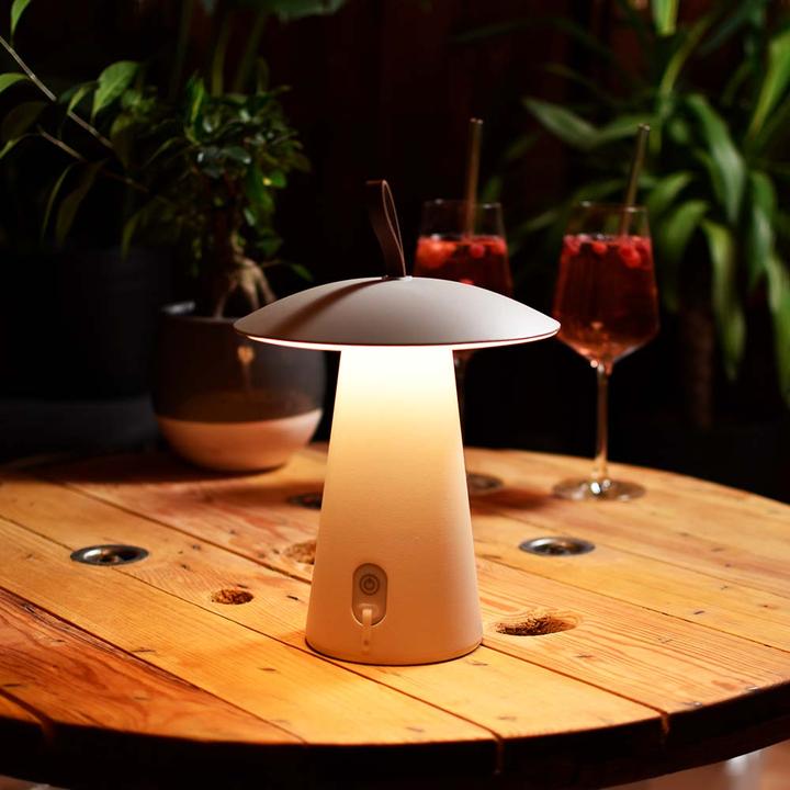 Actual product image Licht-Trend Homie (263 lm)