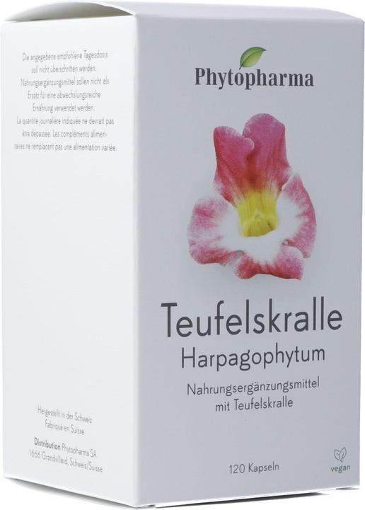 Produktbild Phytopharma Teufelskralle Harpagophytum Kaps (120 Stück, Kapseln, 104 g)