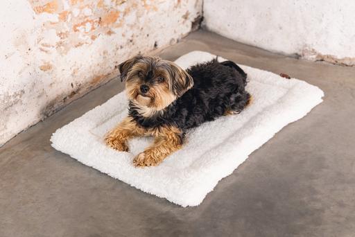 Produktbild Designed by Lotte Ligra (Hund)