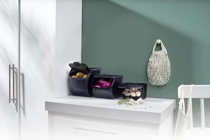 Actual product image Tupperware Onion Smart (5.50 l)