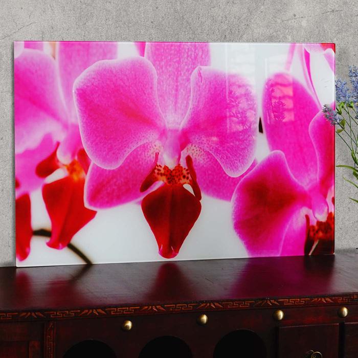 Actual product image Swisshandel24 Glass picture, wall picture poster motif, 40x60cm - Orchid (40 x 60 cm)