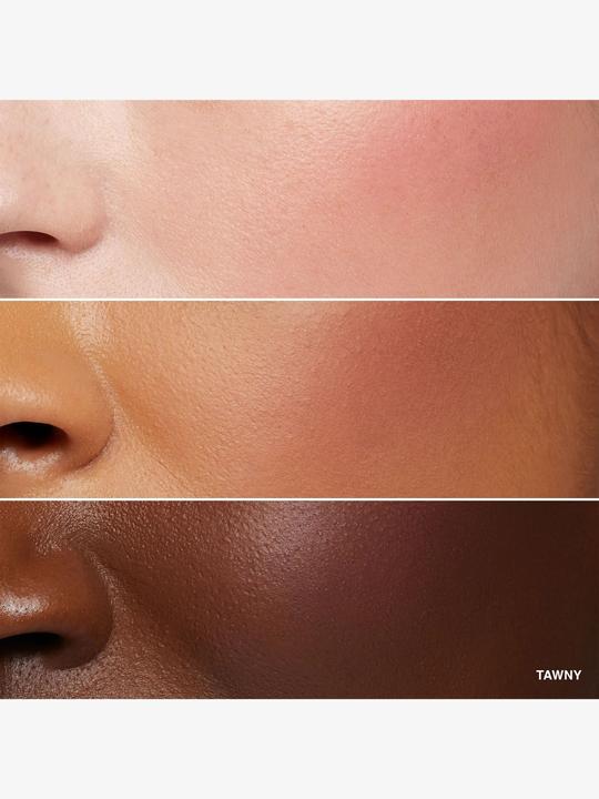 Immagine prodotto Bobbi Brown Fard opaco fulvo (bruno)