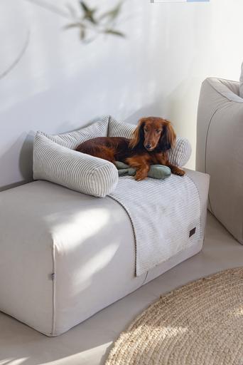 Image du produit Designed by Lotte Ribbed (Chien)