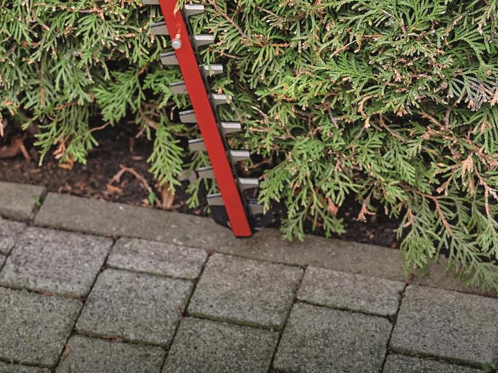 Image du produit Einhell GE-CH 36/65 Li (Taille-haies sans fil)
