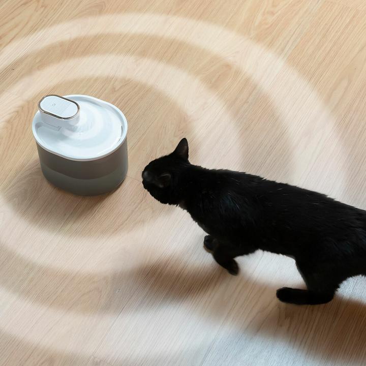 Actual product image InnovaGoods Wiederaufladbarer Katzenbrunnen mit Sensor (3 l)